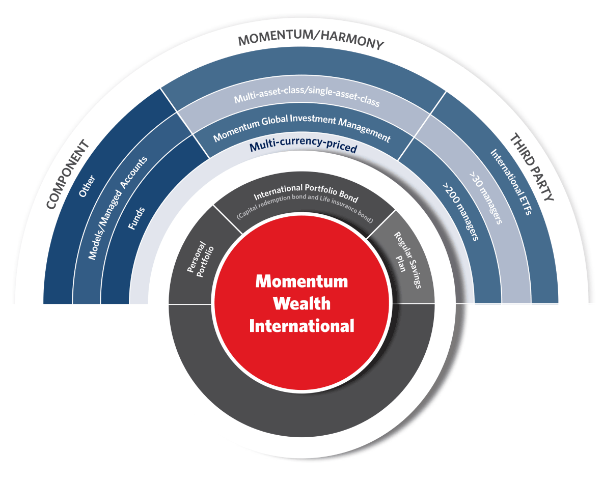 Momentum Wealth International capability wheel. 